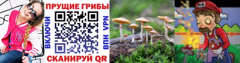 Купить закладки  Ершов  Псилоцибиновые грибы Magic Shrooms 